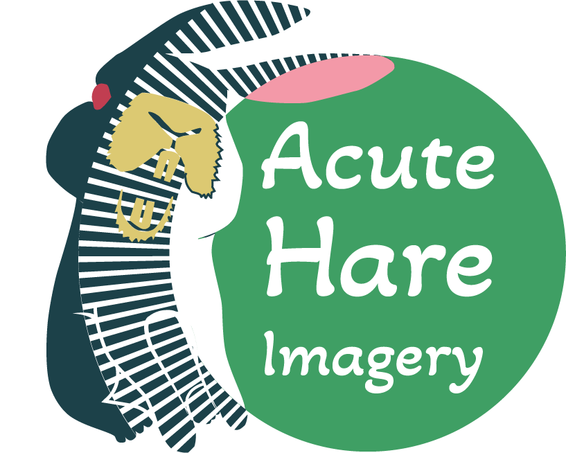 Acute Hare Logo